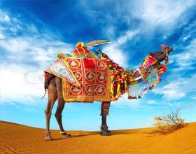 rajasthan-tours-from-delhi.jpg